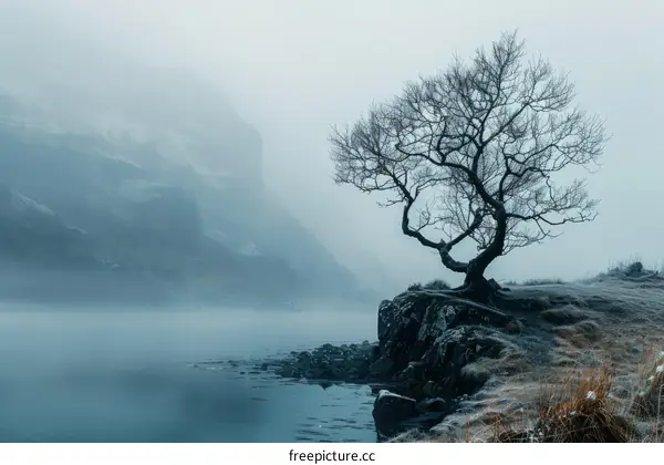 gnarled tree on lake shore with mountains in background