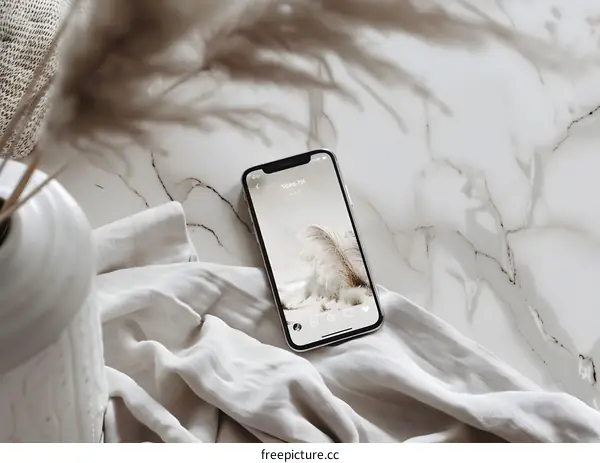 White Marble Table with Phone and Dried Grass