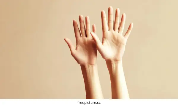 Two Hands Raised in the Air