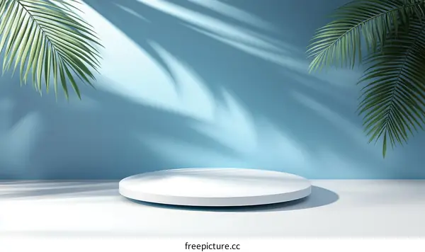 Modern Minimalist Product Display with Palm Leaves