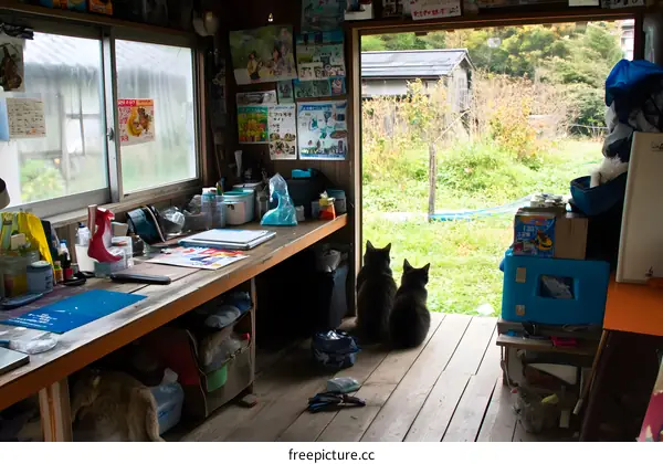 Two Black Cats Sitting in a Japanese Workshop Looking Out The Open Door