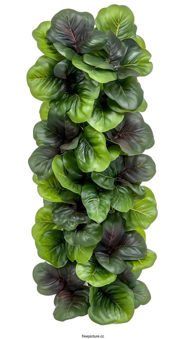 [Transparent Background PNG]Green Leaves Texture Background Image