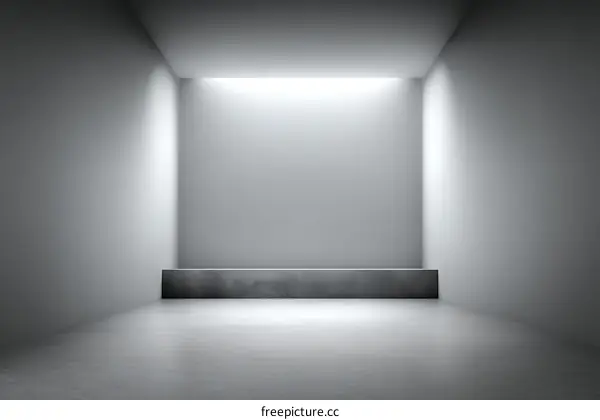 Empty Modern Minimalist Interior Showcase