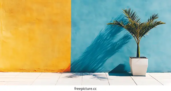 Yellow and Blue Wall with Palm Tree in a Pot