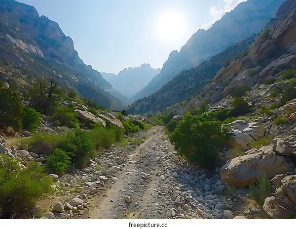 Mountain Valley Road with Rocks and Trees