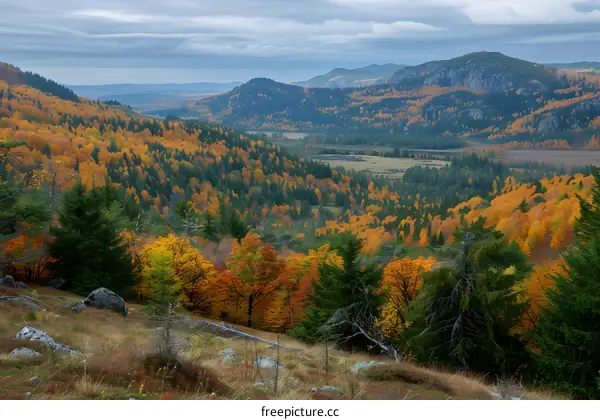 Autumn Landscape with Mountain Views in Fall Colors