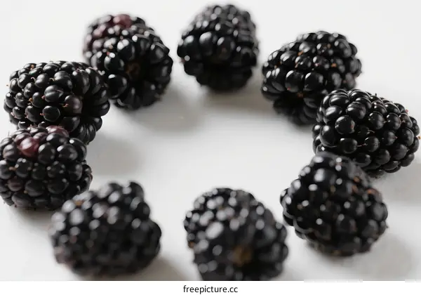 Fresh Blackberries Arranged in Circle on White Background