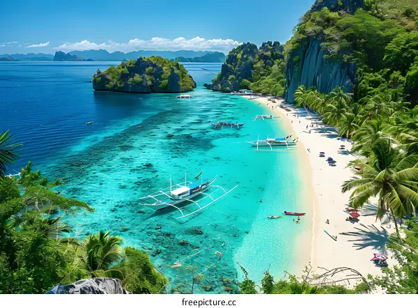 Tropical Beach with Clear Water and Palm Trees
