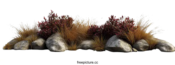 [Transparent Background PNG]Arrangement of Plants and Rocks on a White Background