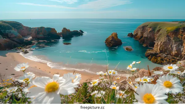 Rocky beach with white flowers in foreground