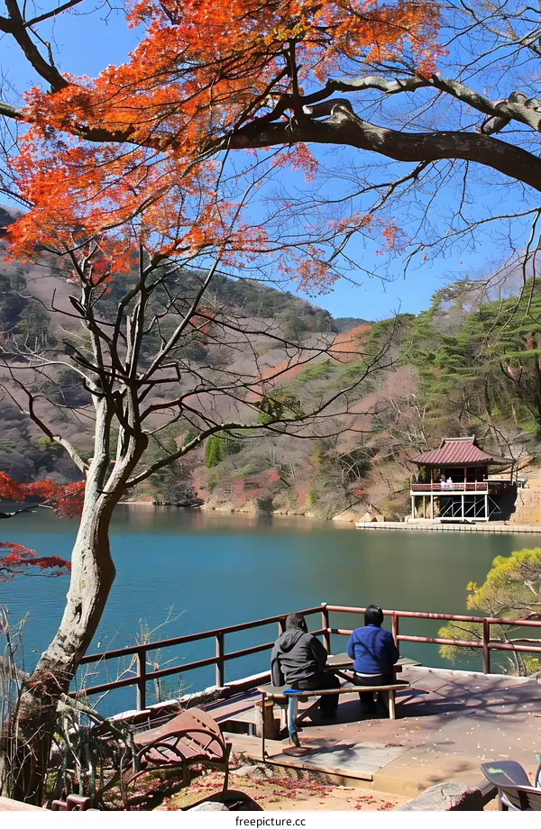 Two People Sitting on a Bench with a View of a Lake and Forest
