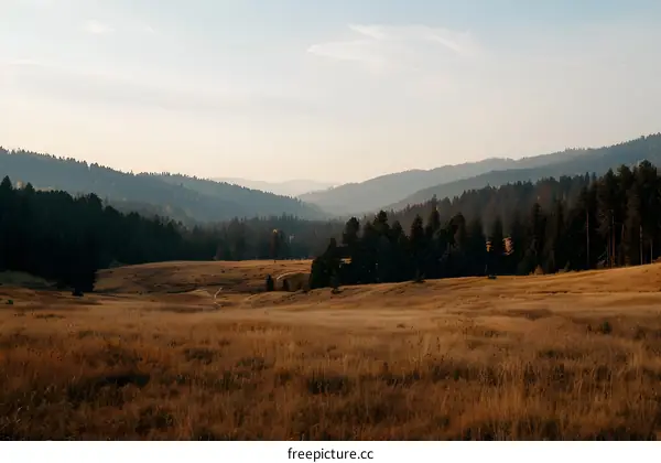 Autumn Meadow and Mountain Range in the Evening Light