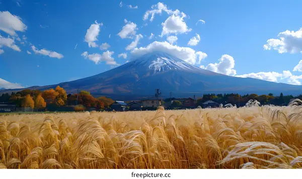 Mount Fuji in Autumn