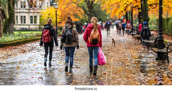 Rainy Autumn Day in the Park with People Walking