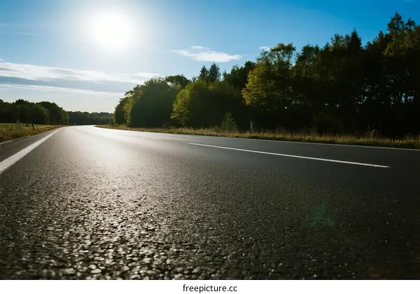 Sunny day with clear road and lush green trees on both sides