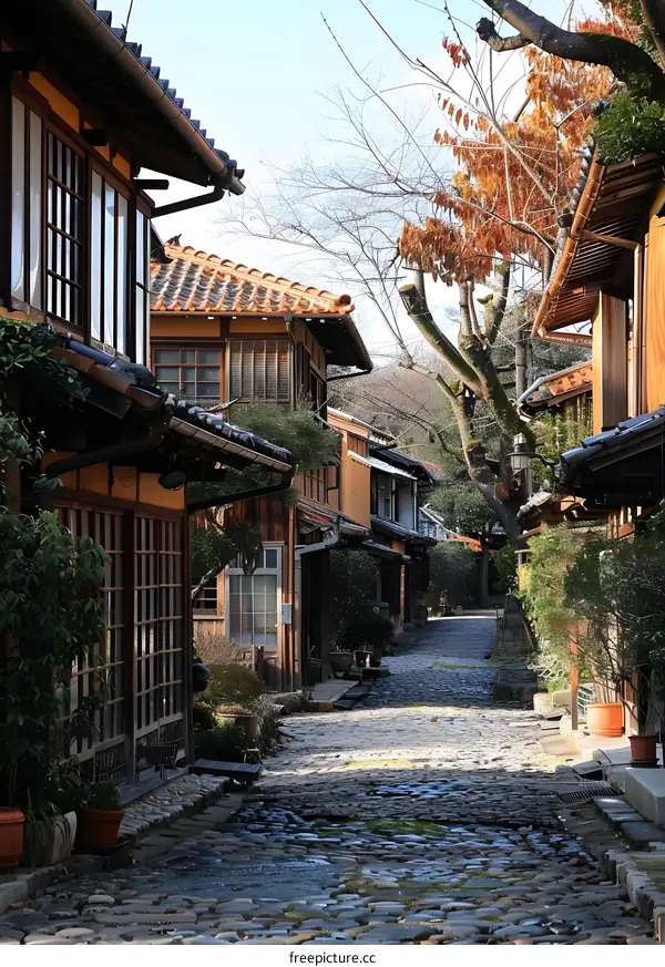 Cobblestone Street in a Traditional Japanese Neighborhood