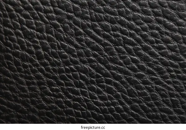 Black Leather Texture Close-up