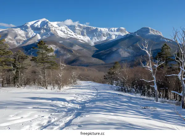 Snowy Mountain Path in Winter