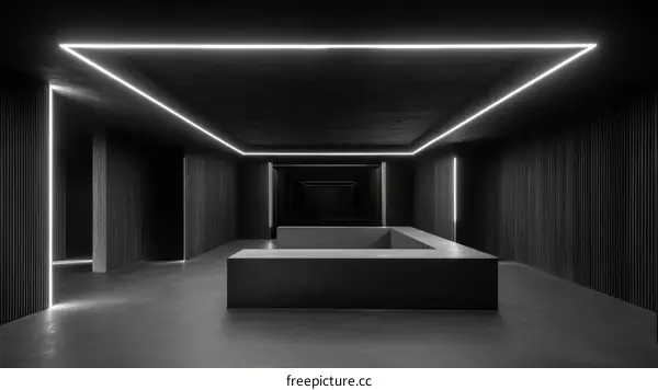 Modern Minimalist Interior Design with Linear Lighting