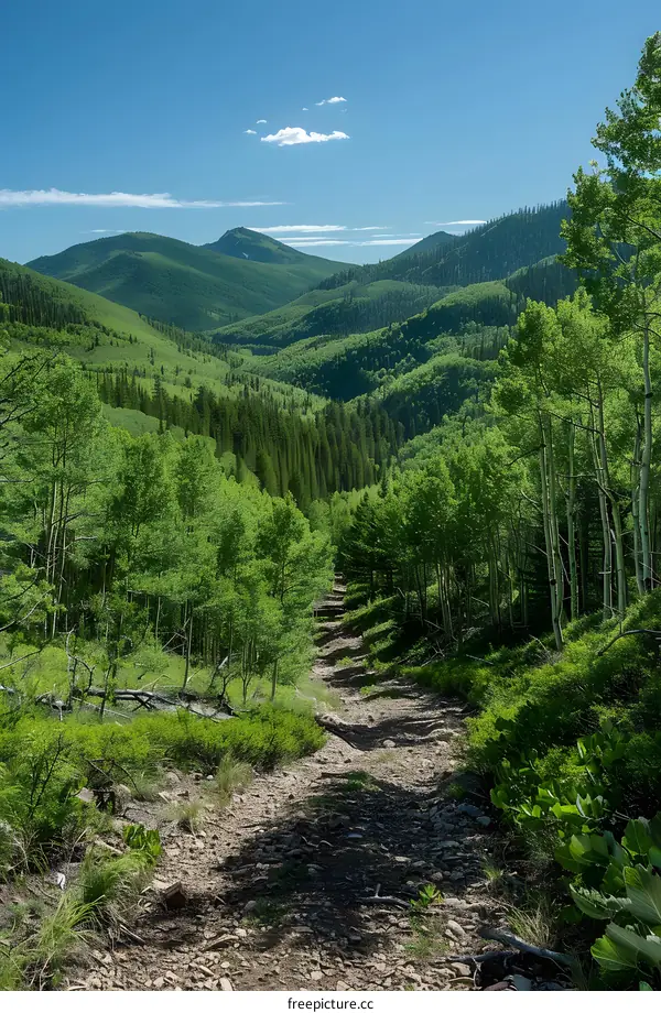 The image shows a dirt road through a valley in the mountains.