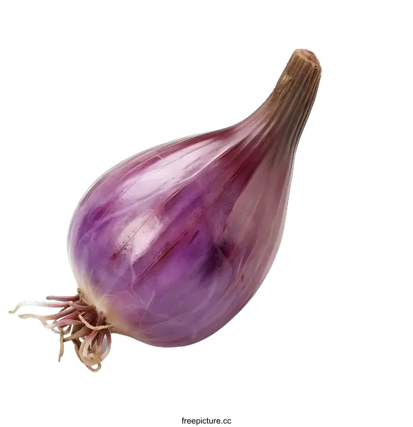 [Transparent Background PNG]Single Red Onion Isolated on White Background