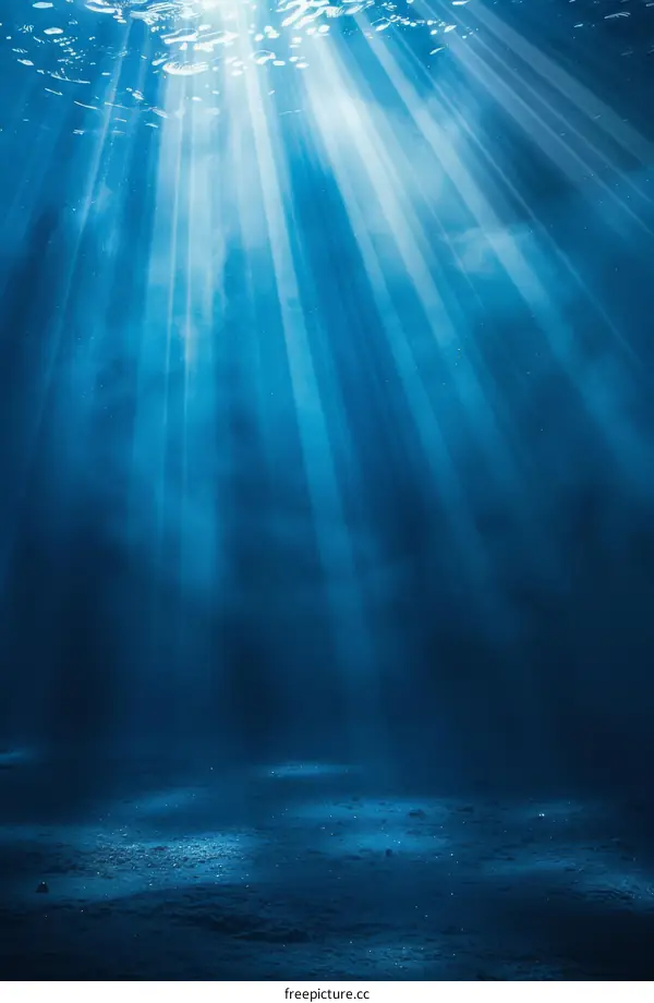 Underwater Sunlight Illuminates the Deep