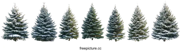 [Transparent Background PNG]Snow-covered Christmas Trees Isolated on White Background