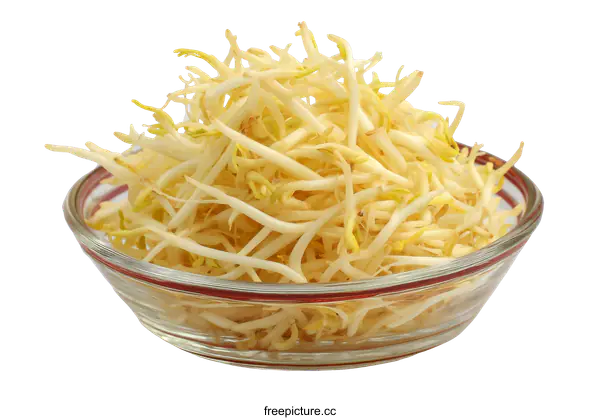 [Transparent Background PNG]Fresh Bean Sprouts in a Glass Bowl