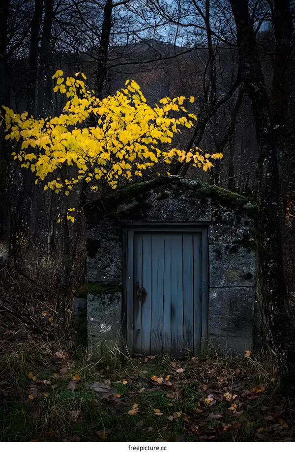 Stone Doorway in Autumn Forest