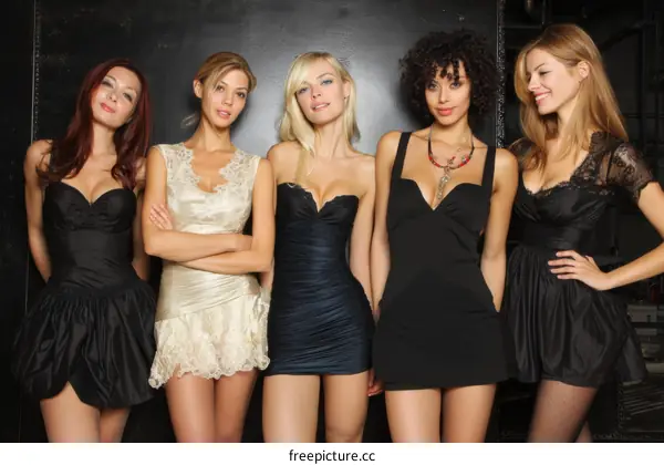 Stylish Women in Short Dresses Fashion Show