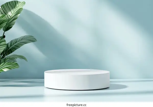 Empty Display Podium with Soft Light and Greenery