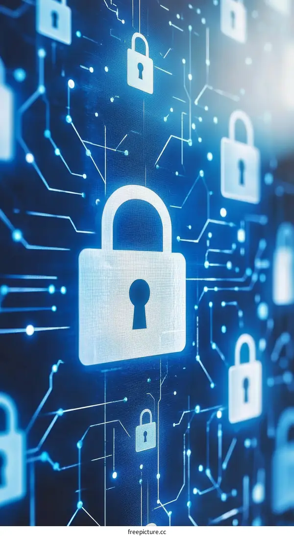 Digital Security System with Padlocks and Circuitry