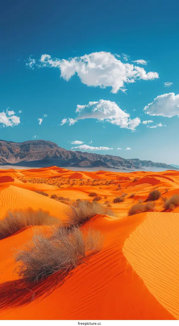 A vast expanse of orange sand dunes under a blue sky with white clouds