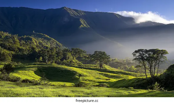 Picturesque Mountain Valley Landscape with Lush Greenery