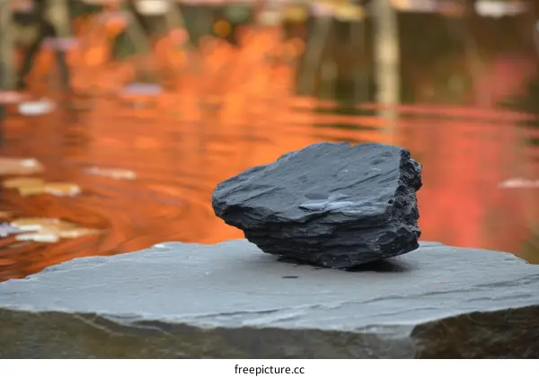 Black Rock on Gray Slab with Blurred Autumn Leaves