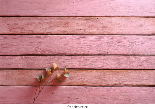 Pink Wooden Planks Background with Dry Flowers