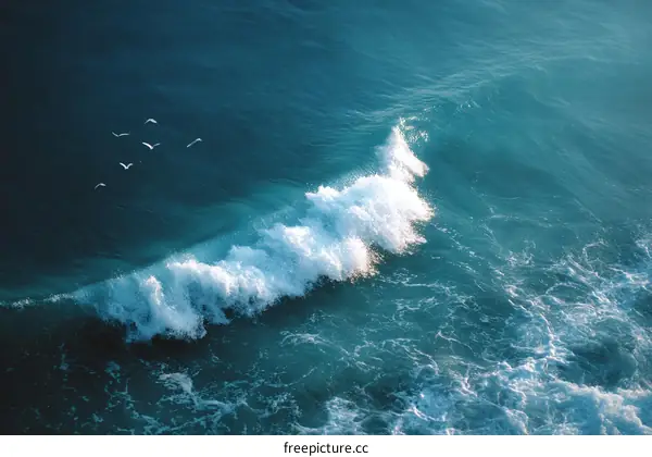 Ocean Wave with Birds in Flight