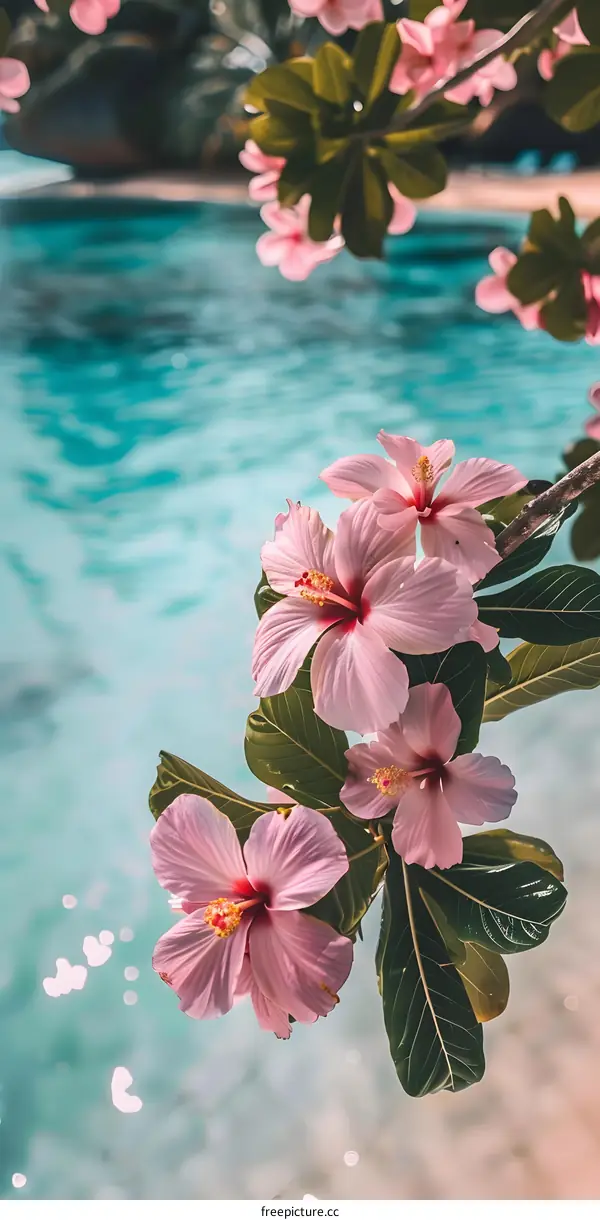Pink Hibiscus Flower Over Blue Water