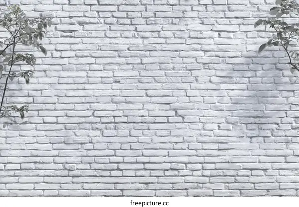 White Brick Wall Background with Plants