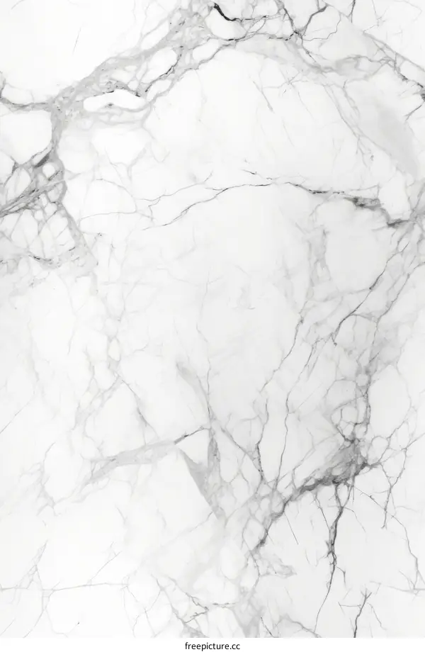 White Marble Texture