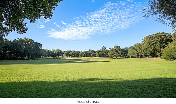 A Vast Green Field Under a Clear Sky
