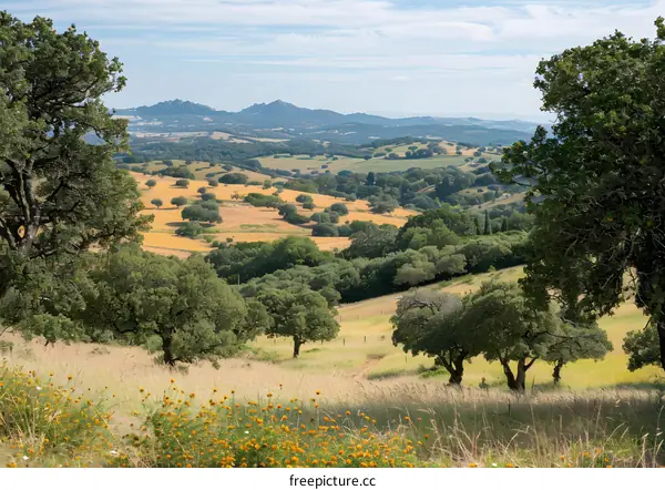 A beautiful landscape of a green rolling hills and mountains in the distance
