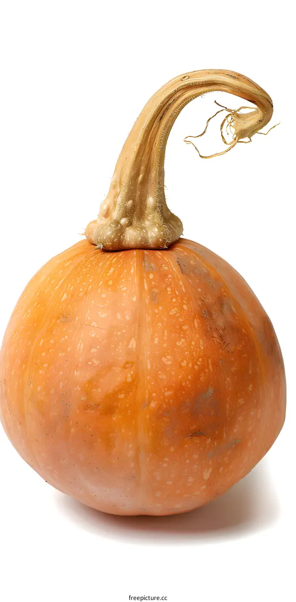 Orange Pumpkin Isolated On White Background