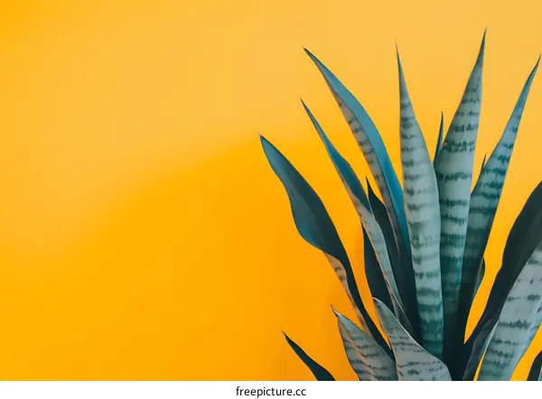 Green Plant on a Yellow Background
