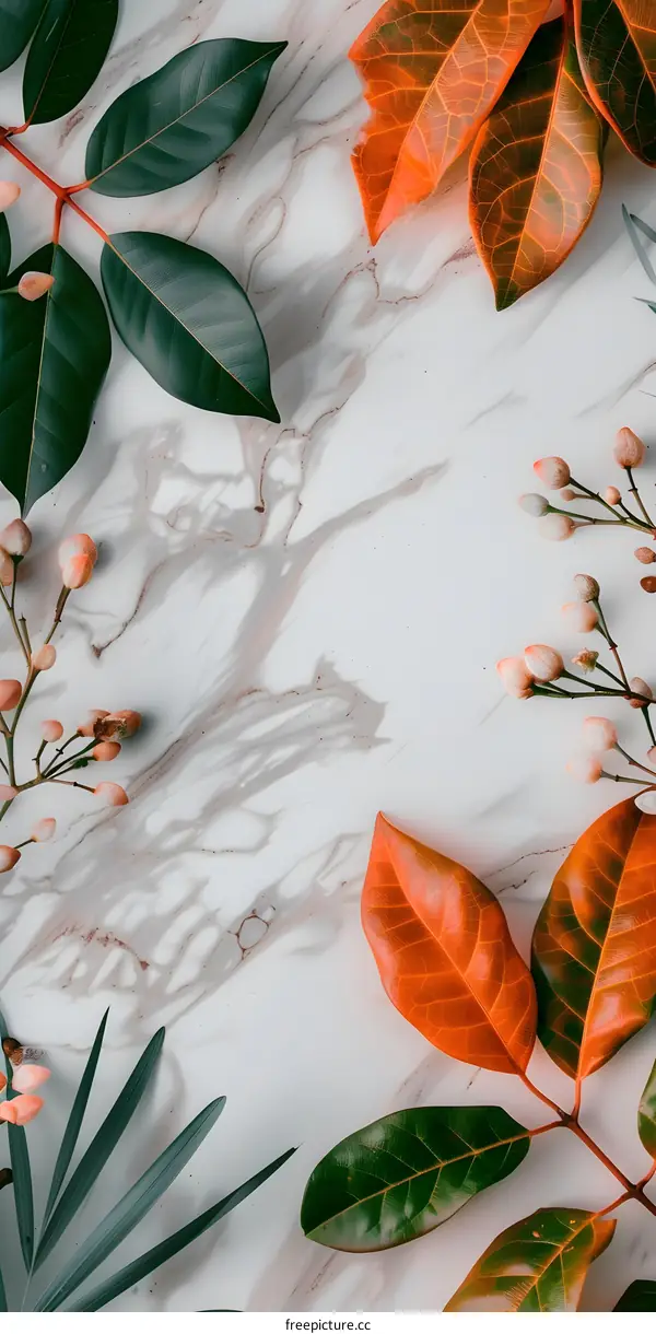 Leaves and Flowers on Marble Background
