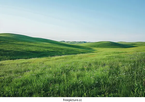 Green rolling hills under blue sky