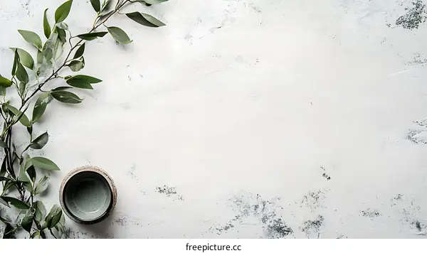 Green Branch and White Bowl on White Background