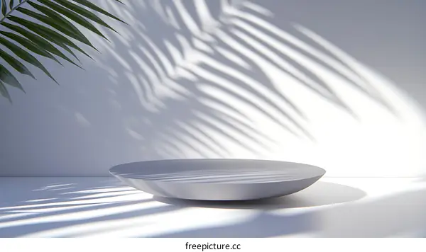 Modern Minimalist Product Display with Palm Leaf Shadows