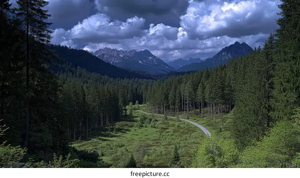 Mountain Valley Scenic Road Through Lush Forest