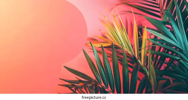 Tropical Palm Leaves on Pink Background